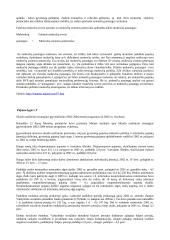 Valstybės pajamų politika 9 puslapis