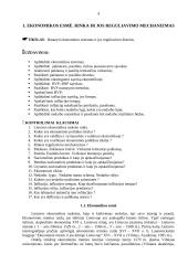 Verslo kūrimas ir personalo vadyba 2 puslapis