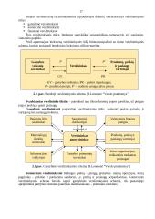 Verslo kūrimas ir personalo vadyba 15 puslapis