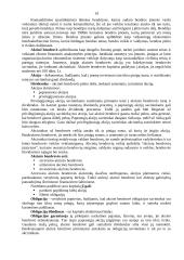 Verslo kūrimas ir personalo vadyba 17 puslapis