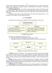 Verslo kūrimas ir personalo vadyba 19 puslapis