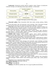 Verslo kūrimas ir personalo vadyba 20 puslapis