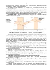 Verslo kūrimas ir personalo vadyba 4 puslapis
