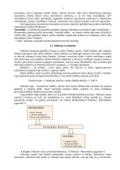 Verslo kūrimas ir personalo vadyba 5 puslapis