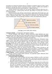 Verslo kūrimas ir personalo vadyba 6 puslapis