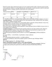 Verslo samprata. Skiriamieji verslo bruožai, ekonominiai verslo principai. Pseudoverslas. Antiverslas 11 puslapis