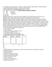 Verslo samprata. Skiriamieji verslo bruožai, ekonominiai verslo principai. Pseudoverslas. Antiverslas 14 puslapis