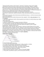 Verslo samprata. Skiriamieji verslo bruožai, ekonominiai verslo principai. Pseudoverslas. Antiverslas 8 puslapis