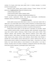 Verslo įmonė 2 puslapis