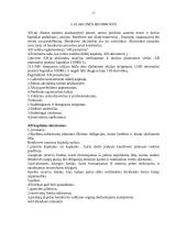 Verslo įmonė 13 puslapis