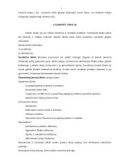 Verslo įmonė 3 puslapis