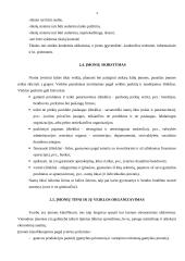 Verslo įmonė 4 puslapis