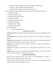 Verslo įmonė 5 puslapis