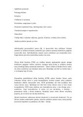 Verslo įmonių rūšys pagal įvairius kriterijus 3 puslapis