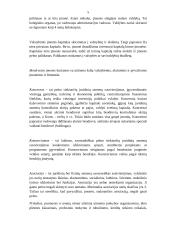 Verslo įmonių rūšys pagal įvairius kriterijus 5 puslapis