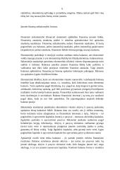 Verslo įmonių rūšys pagal įvairius kriterijus 6 puslapis