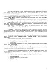 Verslo organizavimo pagrindai 2 puslapis