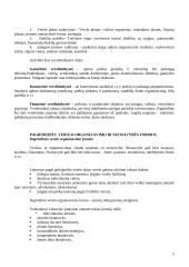 Verslo organizavimo pagrindai 5 puslapis