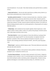 Verslo pagrindų teorija 2 puslapis