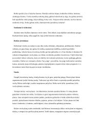 Verslo pagrindų teorija 11 puslapis