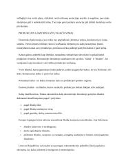 Verslo pagrindų teorija 12 puslapis