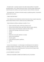 Verslo pagrindų teorija 13 puslapis