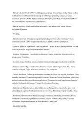 Verslo pagrindų teorija 14 puslapis