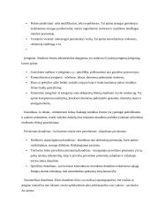 Verslo pagrindų teorija 16 puslapis