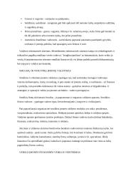 Verslo pagrindų teorija 17 puslapis