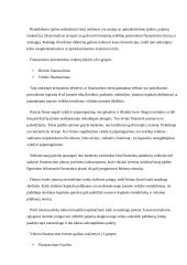 Verslo pagrindų teorija 20 puslapis