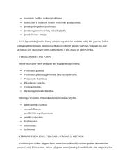 Verslo pagrindų teorija 6 puslapis