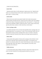 Verslo pagrindų teorija 10 puslapis