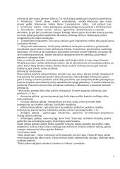 Verslo planas. Bendrieji reikalavimai 2 puslapis