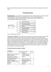 Verslo planas. Bendrieji reikalavimai 11 puslapis