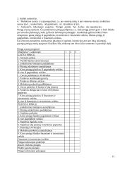 Verslo planas. Bendrieji reikalavimai 13 puslapis