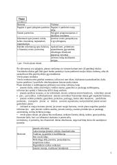 Verslo planas. Bendrieji reikalavimai 3 puslapis