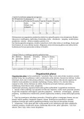 Verslo planas. Bendrieji reikalavimai 9 puslapis