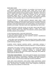 Verslo plano esmė ir jo rengimas 2 puslapis