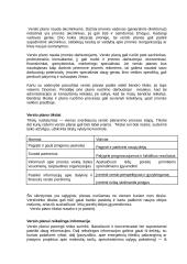 Verslo plano esmė ir jo rengimas 3 puslapis