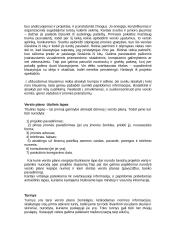 Verslo plano esmė ir jo rengimas 5 puslapis