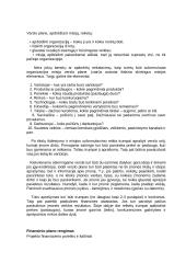 Verslo plano esmė ir jo rengimas 8 puslapis