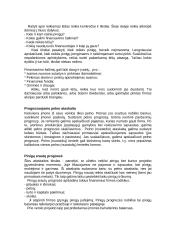 Verslo plano esmė ir jo rengimas 9 puslapis