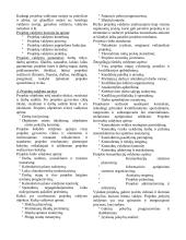 Verslo projektų valdymas 3 puslapis