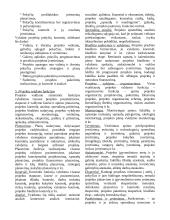 Verslo projektų valdymas 4 puslapis