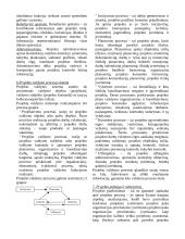 Verslo projektų valdymas 5 puslapis