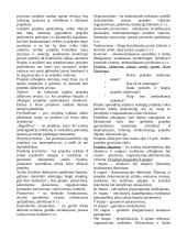 Verslo projektų valdymas 6 puslapis