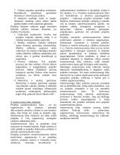 Verslo projektų valdymas 8 puslapis