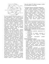 Verslo projektų valdymas 9 puslapis