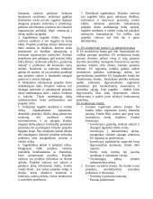 Verslo projektų valdymas 10 puslapis