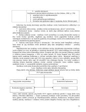 Verslo reguliavimas 13 puslapis